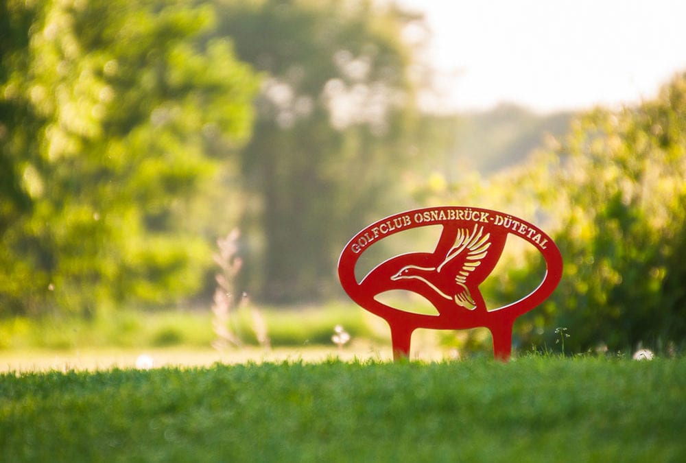 Platzarbeiten & Spielbetrieb