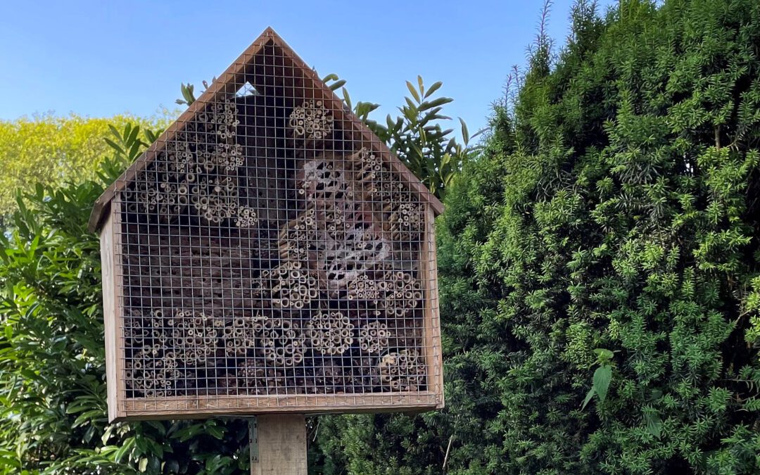 Neues Insektenhotel