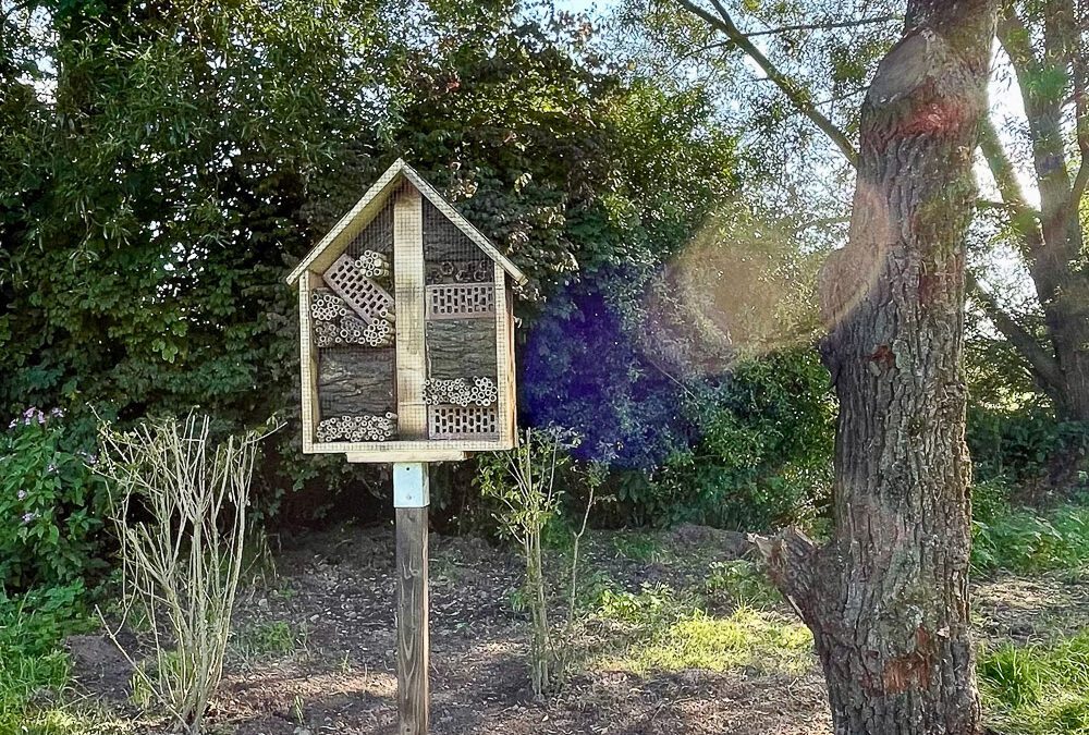 Weiteres Insektenhotel eröffnet