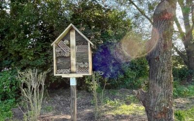 Weiteres Insektenhotel eröffnet