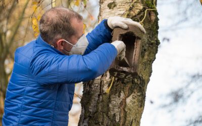 Nistkästen reinigen – Wer macht mit?