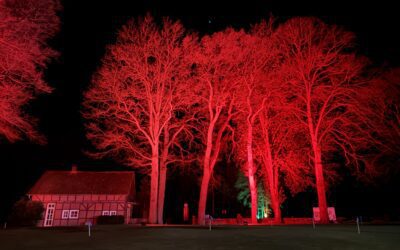 Festliche Lichtmomente